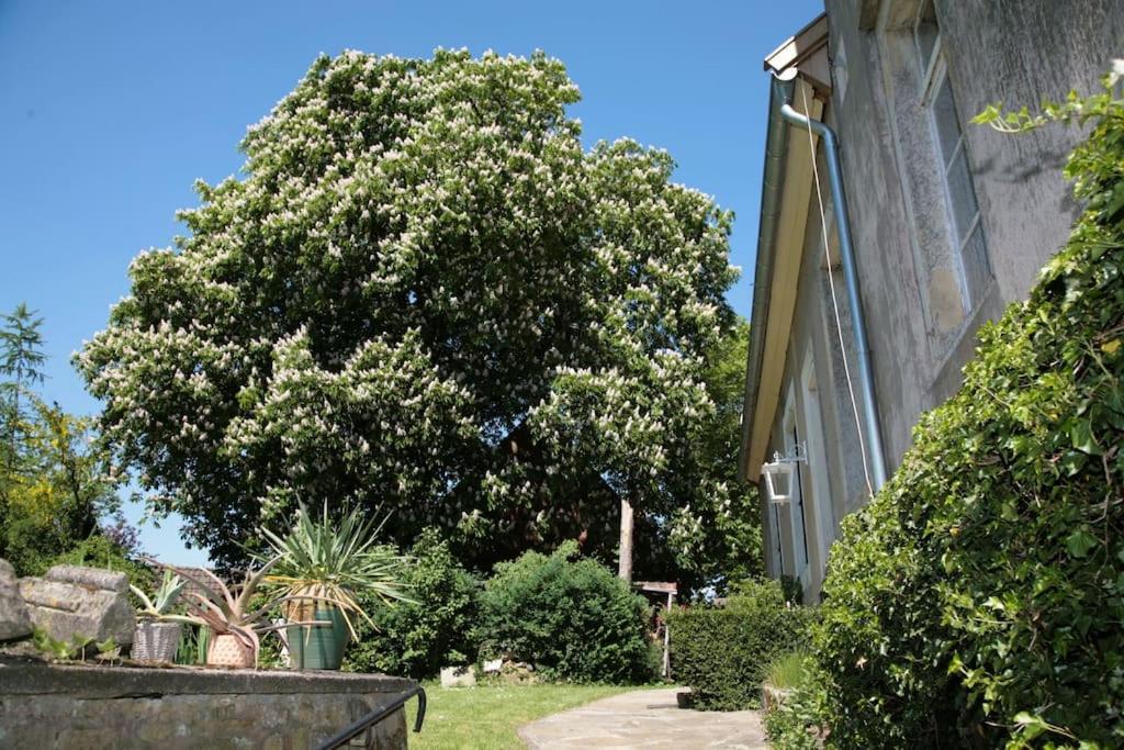 Haus Keppelborg: Zi Ferdinand Mit Rosengartenblick 히크 외부 사진