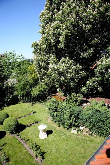 Haus Keppelborg: Zi Ferdinand Mit Rosengartenblick 히크 외부 사진